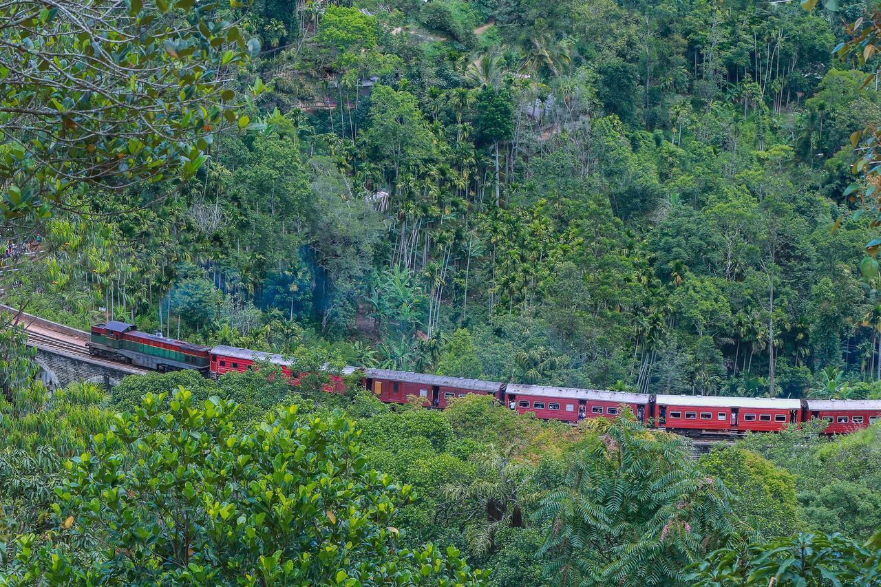 Tina Nature Villa Ella Luaran gambar